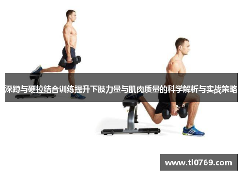 深蹲与硬拉结合训练提升下肢力量与肌肉质量的科学解析与实战策略