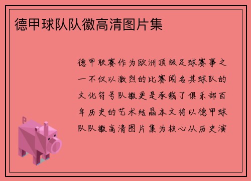 德甲球队队徽高清图片集